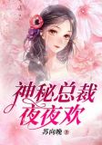 神秘总裁,夜夜欢