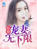 隐婚:宠妻无下限