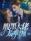 腹黑大佬太难缠慕煜城