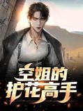 空姐的护花高手江思颖小说