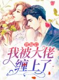 替嫁后我被大佬缠上了