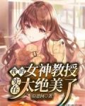 我的女神教授实在太绝美了