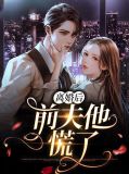 离婚后前夫他慌了沈知澜