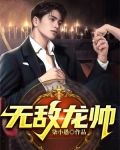 无敌龙帅俏佳人TXT下载