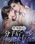 替身影后,分手后宁少他跪求复合