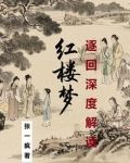 【红楼梦】逐回深度解读